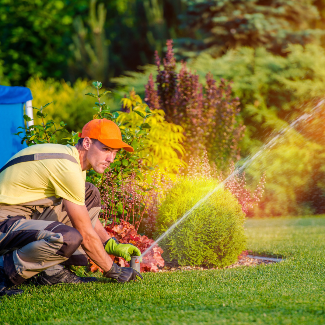 Hangi Sprinkler Sistemi Sizin İçin Daha Uygun? İşte Karşılaştırmalar